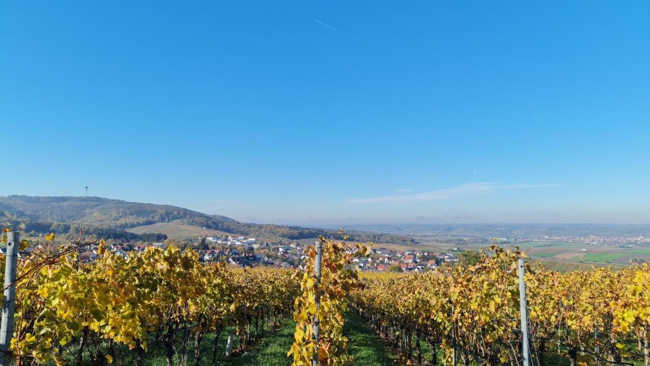 Villa Unter Dem Schloss Клеброн Экстерьер фото